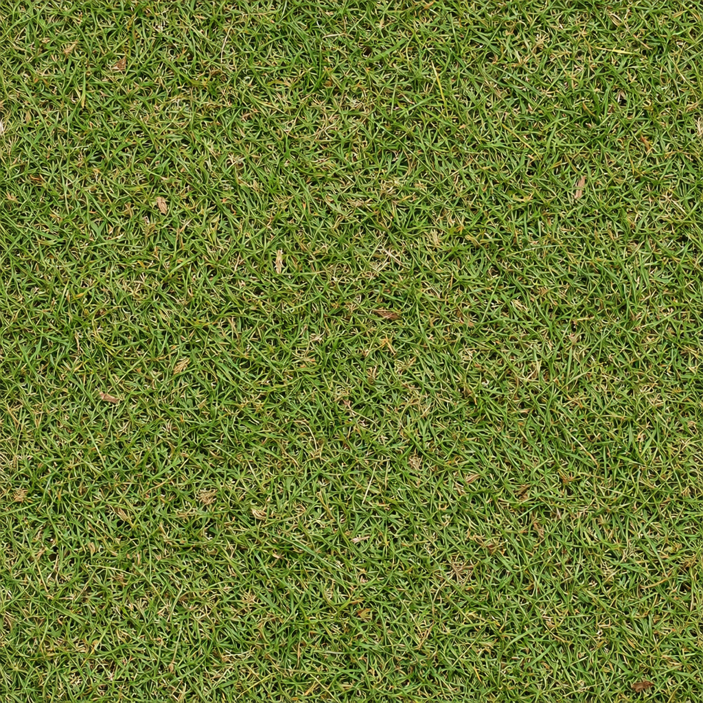 grass texture preview