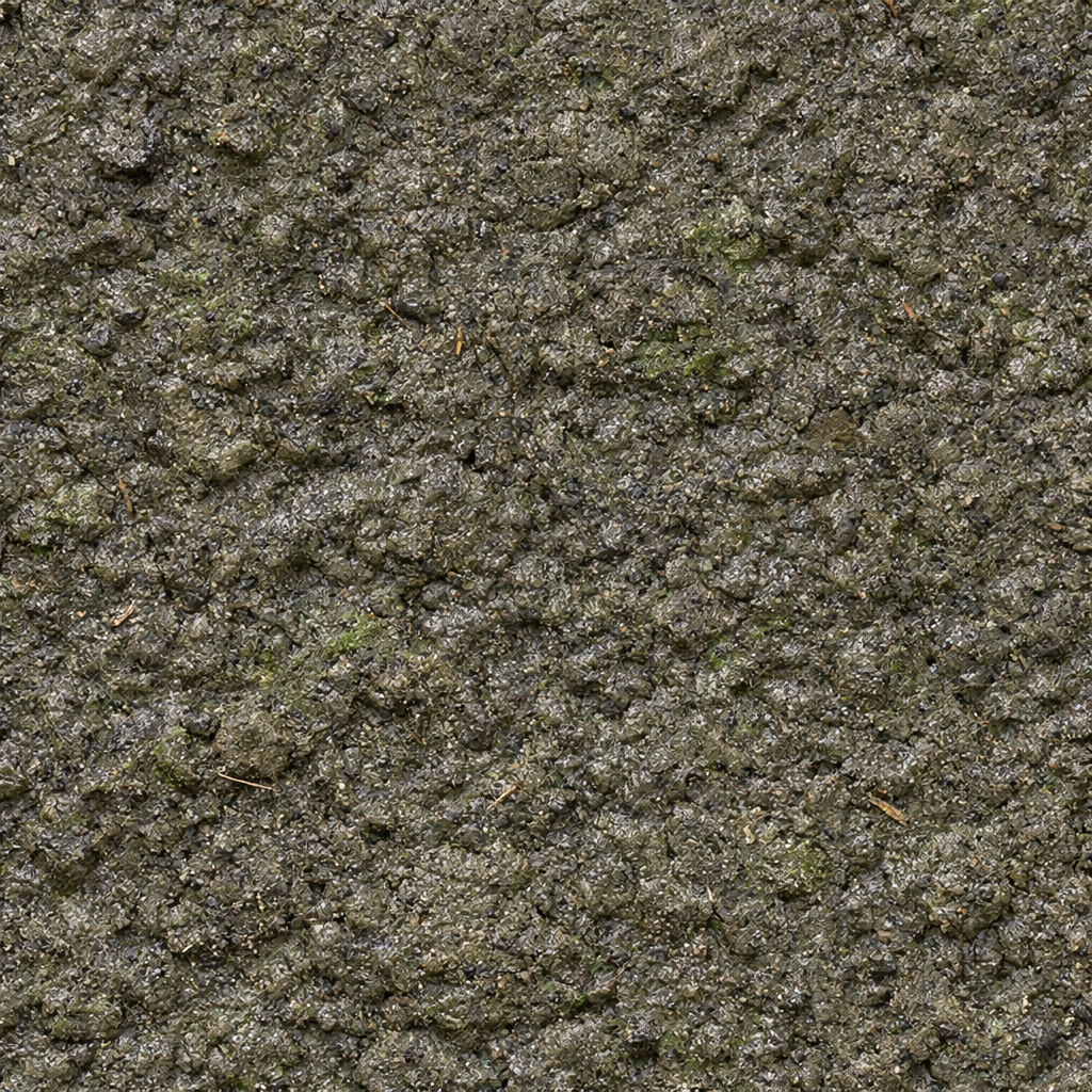 swamp mud texture preview